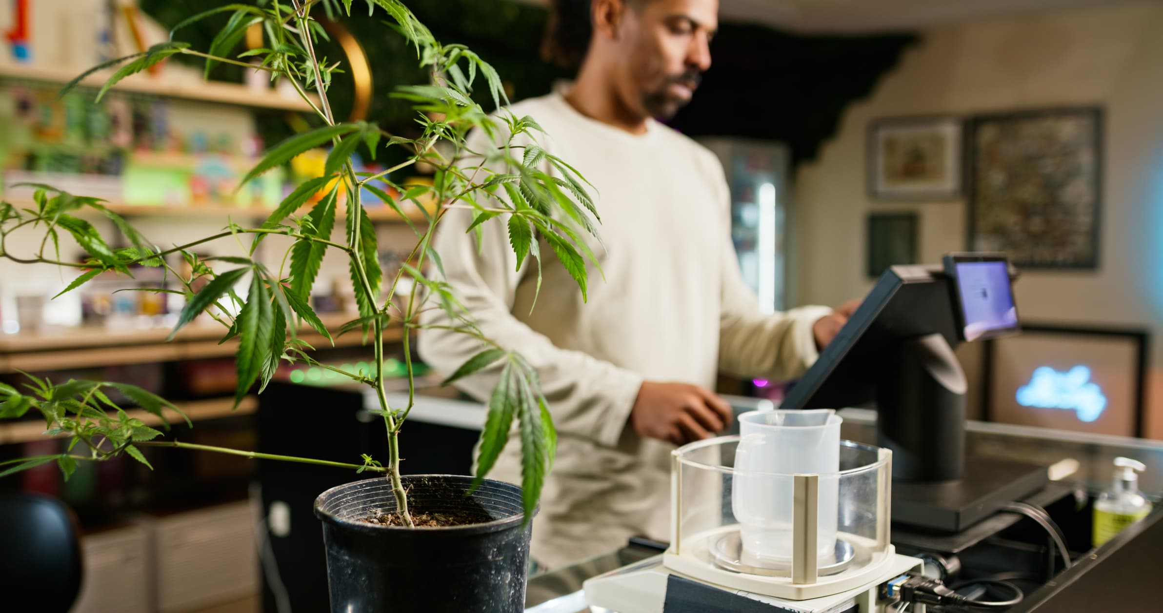 The Library, A Black-Owned Cannabis Dispensary In New Jersey, Opens With A Focus On Community And Education