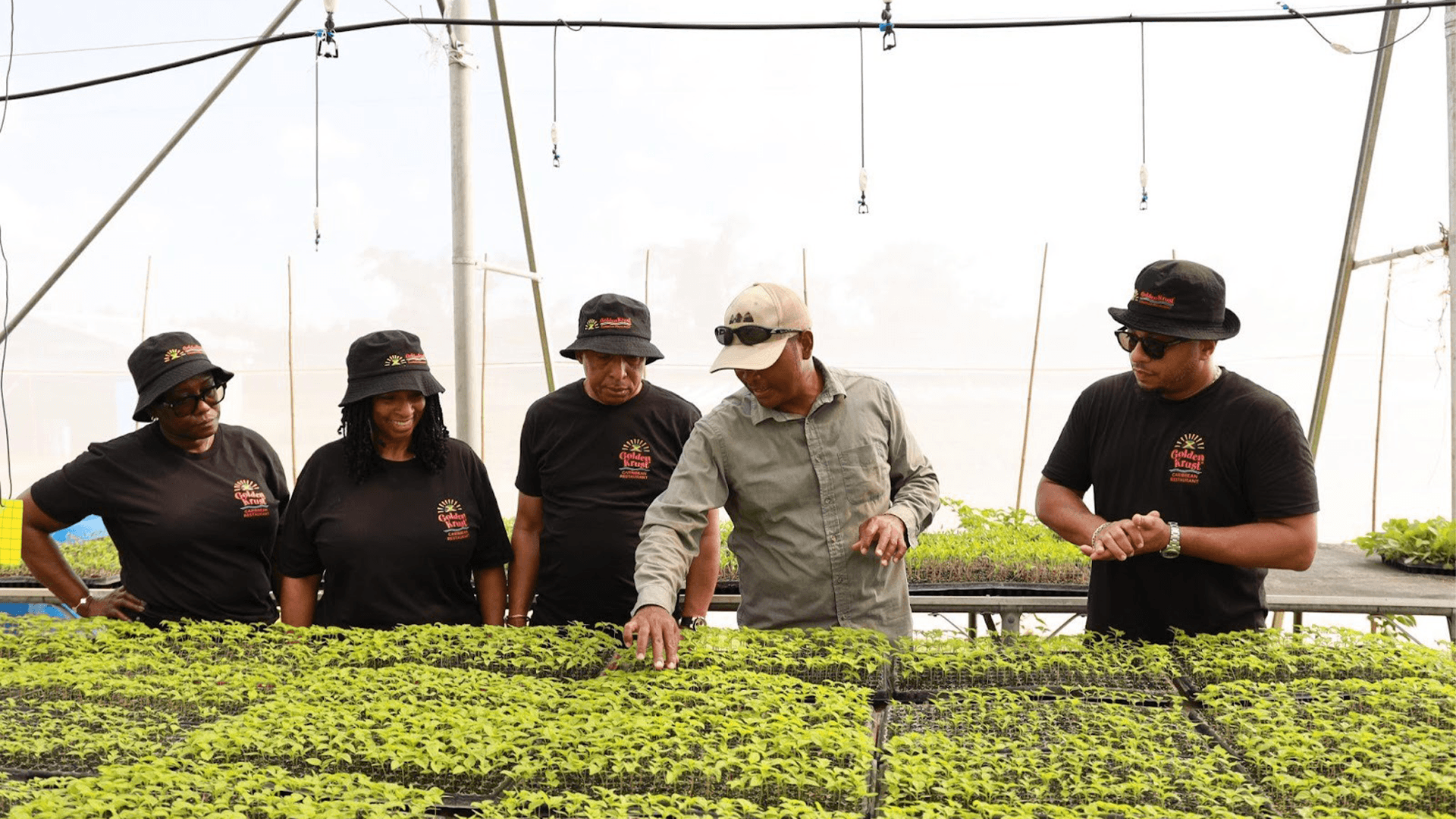 Black-Owned Caribbean Restaurant Golden Krust Announces Initiative To Help Jamaican Farmers Impacted By Hurricane Melissa